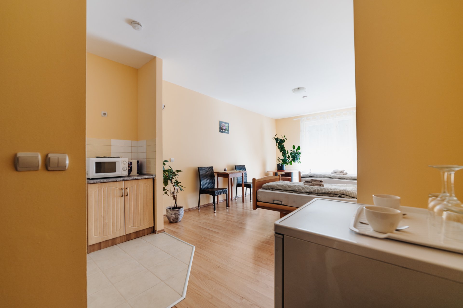 Egy szobás apartman
